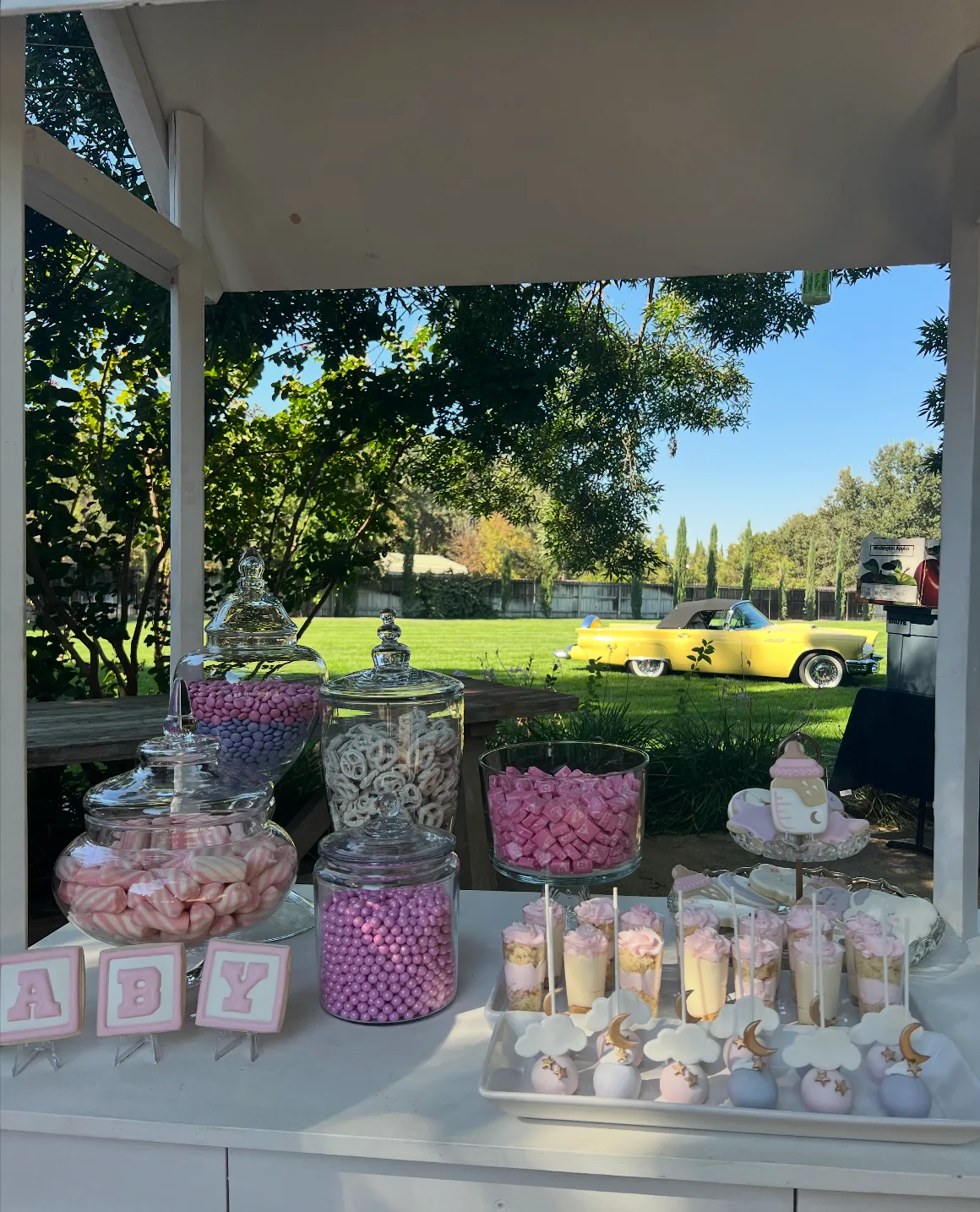 Baby Shower party photo 4